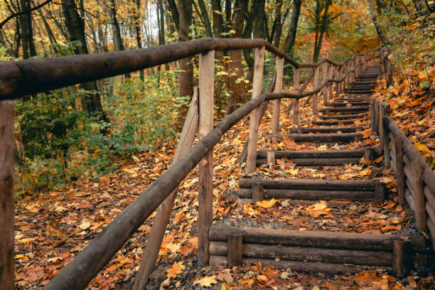 Yedigöller National Park bolu türkiye