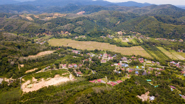 istock Agriculture Aerial View 1346124835