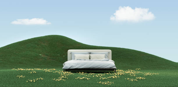 un letto matrimoniale a colore chiaro singolo nel mezzo di una vivida terra di erba verde sotto un cielo limpido e luminoso con fogliame, rendering 3d - clear sky panoramic grass scenics foto e immagini stock