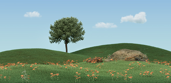 Green grass land under clear bright sky with rock, foliage and single tree for header images, 3d Rendering, No people