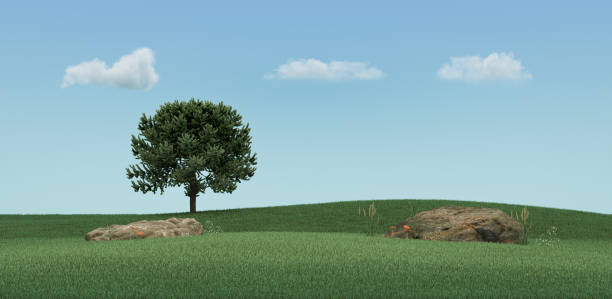 istock Green grass land under clear bright sky with rock, foliage and single tree for header images, 3d Rendering 1346126601