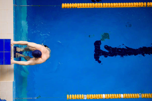 istock Male professional competitive swimmer in swimming pool, view from above. 1346130628