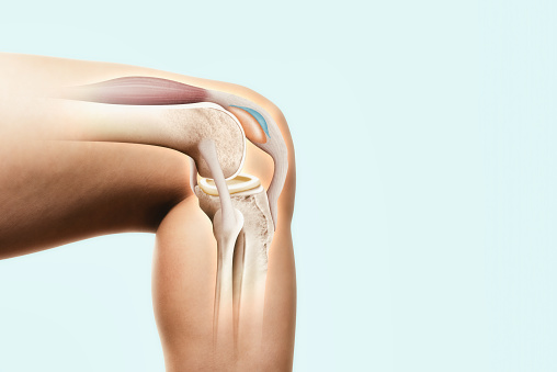 La estructura de la articulación de la rodilla. photo