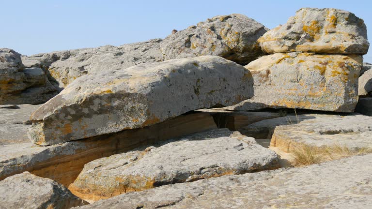 Huge boulders of the world famous monument and sacred place of ancient people Kamyana Mohyla or Stone Grave in Historical Reserve in Ukraine. Decorated it with petroglyphs. Stone Tomb