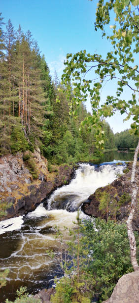 istock River and forest of Karelia 1346134838