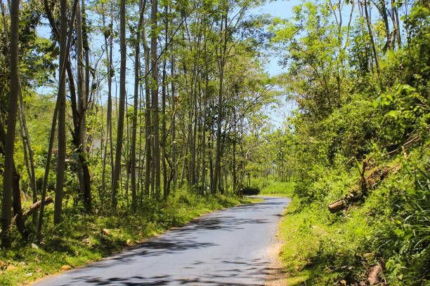 istock The road is very fresh and cool 1346135670