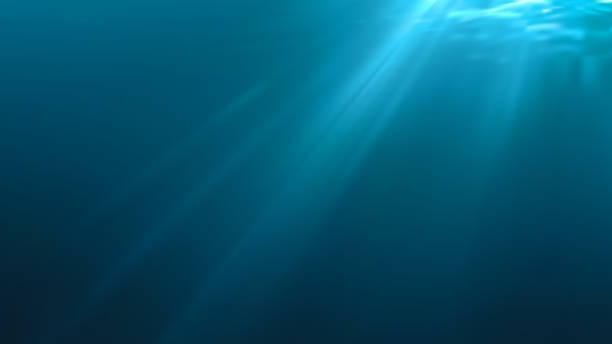 illustrations, cliparts, dessins animés et icônes de lumière des rayons du soleil sous l’eau. arrière-plan sous-marin. illustration vectorielle. - underwater