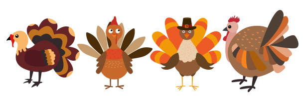cztery kreskówkowe indyki dziękczynne w pielgrzymich kapeluszach na białym tle - thanksgiving dinner party turkey feast day stock illustrations