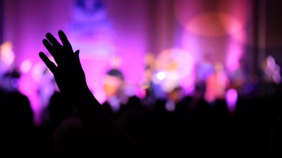 Hands making rock sign at music festival