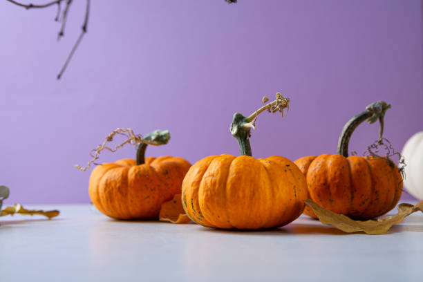 istock Three orange pumpkins on purple background autumn copy space 1346141348