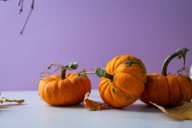 istock Three orange pumpkins on purple background autumn concept copy space 1346141354