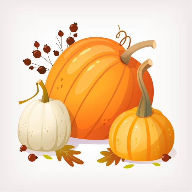 호박 잎과 딸기가 배경에 따뜻한 색상의 가을 자연 이미지. - white backgrounds thanksgiving pumpkin stock illustrations