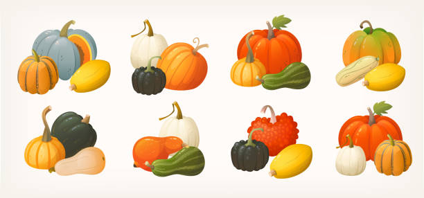 Set of pumpkins gourds and squashes icons arranged in groups. Vegetables illustrations for autumn markets and fairs labels posters and invitations. Set of pumpkins gourds and squashes icons arranged in groups. Vegetables illustrations for autumn markets and fairs labels posters and invitations. Isolated colourful vector images. gourd stock illustrations