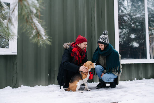 istock Lovely couple petting their beagle outdoors at winter, crouching 1346145493