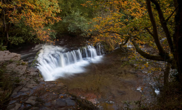 istock Autumn at Waterfall Country 1346145873