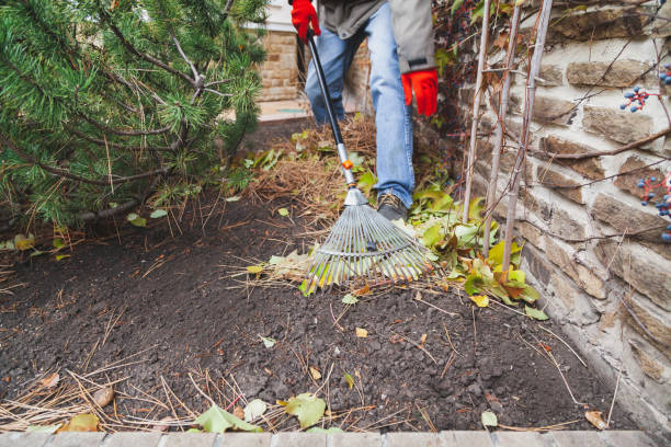 istock Gardener collects fallen leaves by long rake 1346146223