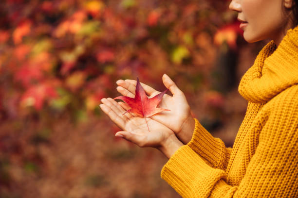 istock Woman holding an autumn leaf 1346148264