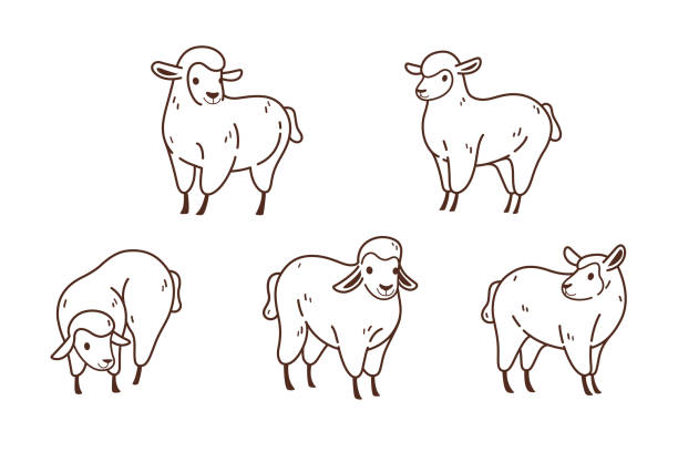 animal Cartoon sheep flat icon. Сute animals set of icons. sheep stock illustrations