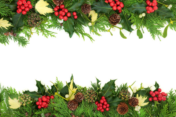 istock Natural Winter Solstice Flora Christmas Background 1346150072
