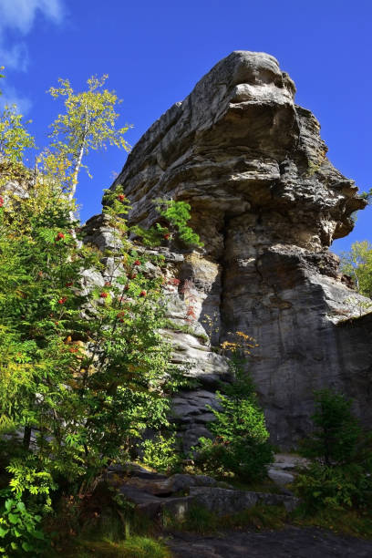 istock Stone megalith from fine-crystalline quartz sandstone Feathered Guard 1346152766