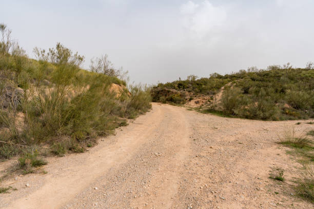 istock dirt road in southern Spain 1346163457