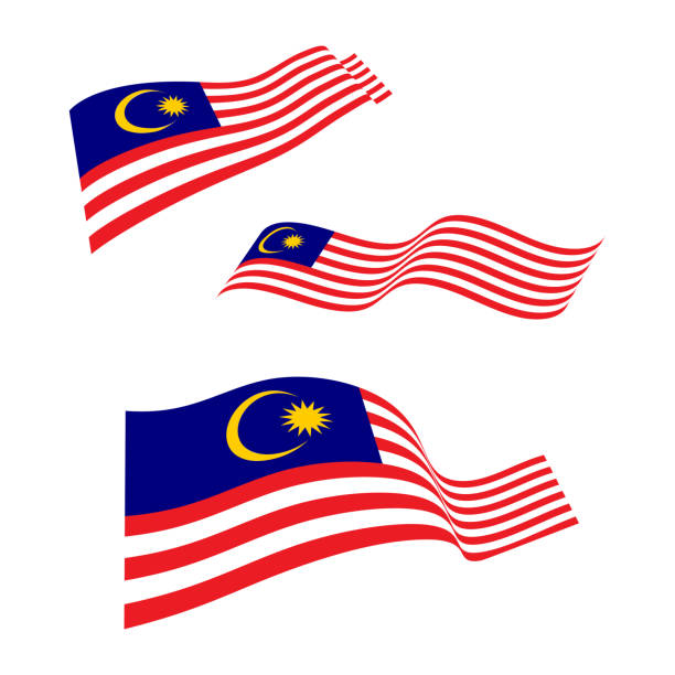 말레이시아 국기 벡터 아이콘 디자인 일러스트레이션 - 말레이시아 국기 stock illustrations
