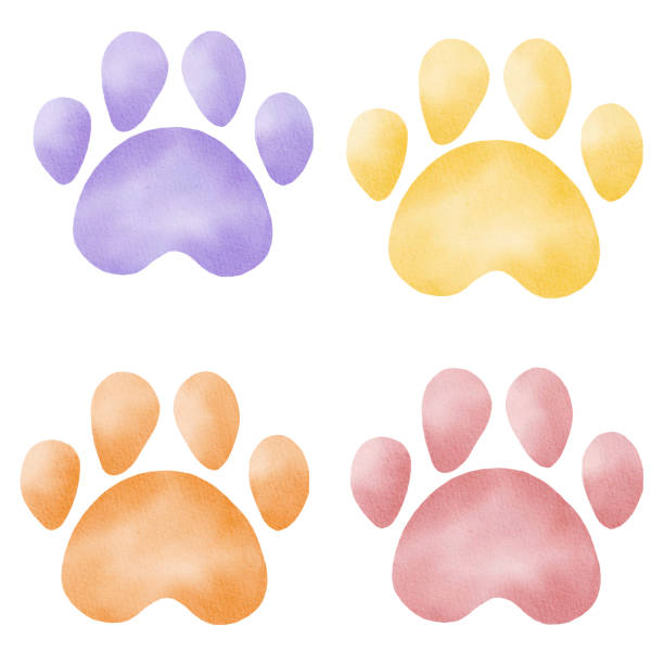 180+ Cartoon Dog Paw Print Pictures Illustrations, Royalty-Free Vector  Graphics & Clip Art - Istock