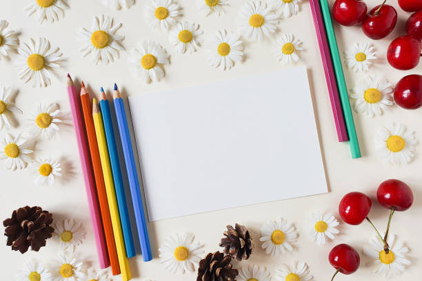 istock Colored pencils, notebook, camomiles, cherry berries and fir cones on a ivory background. Top view, Mockup back to  back. Summer flat lay. 1346169407