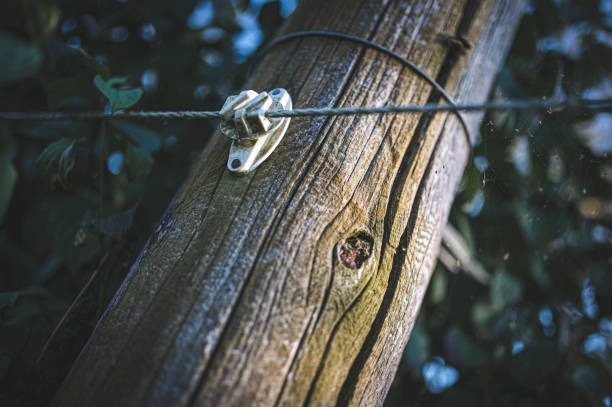 Log with bracket and electric fence