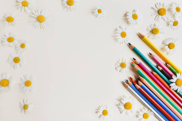 istock Colored pencils and camomiles on a ivory background. Top view, flower frame / border . Empty space for a text. Lifestyle, mock-up. 1346172666