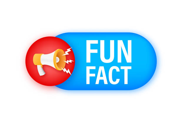 120+ Fact Box Stock Illustrations, Royalty-Free Vector Graphics & Clip ...