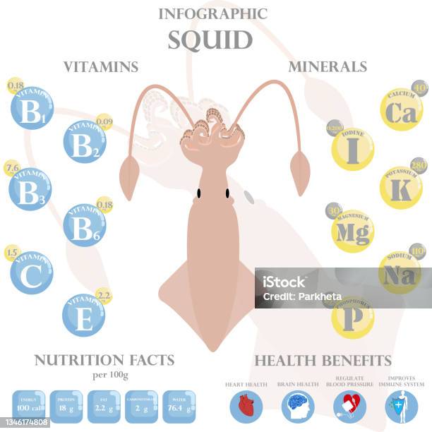 Squid Nutrition Facts And Health Benefits Infographic Stock
