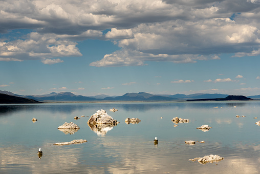 The white geological formations at salty Mono Lake on a partly cloudy day, panoramic view, against a partly cloud