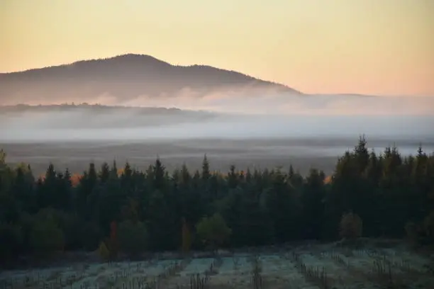 A fog on a cold autumn morning, Sainte-Apolline, Quebec, Canada