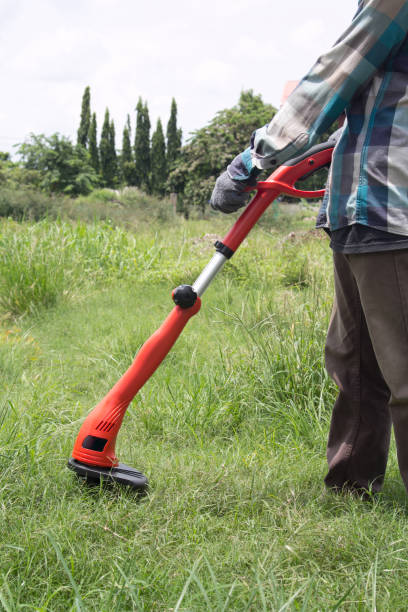 istock Gardener using a lawn trimmer mower cutting grass 1346179732