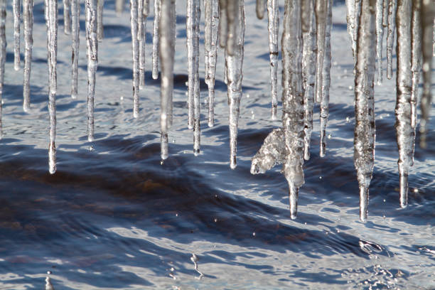 It is a sunny spring day. Many jagged icicles hang over the choppy blue water. Drops fall from them.