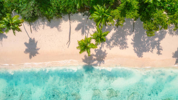 istock Fantastic beach with a view from above with palm trees and turquoise blue water on the Island La Digue and Mahé in the Seychelles 1346187499