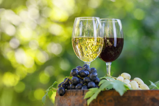 two glasses of red and white wine on barrel in garden stock photo