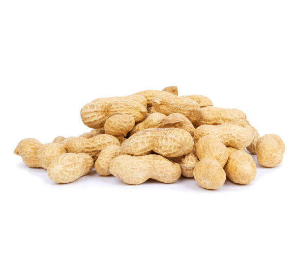 istock Heap of peanuts in shell isolated on white background 1346189682