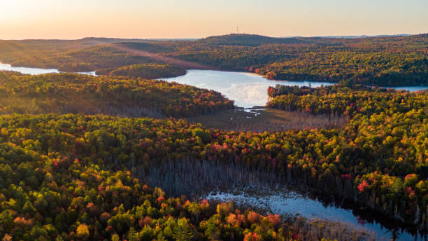istock Fall Foliage At Sunrise In Maine 1346190189