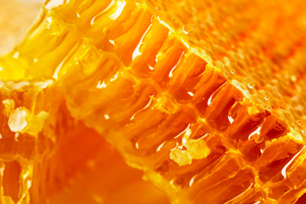 istock Honeycomb with honey close-up 1346190301