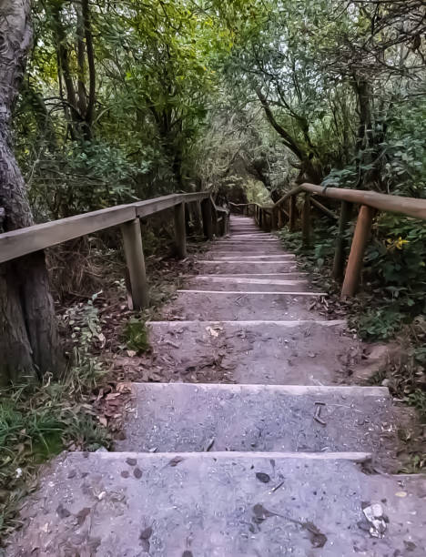 istock An outdoor staircase 1346190392
