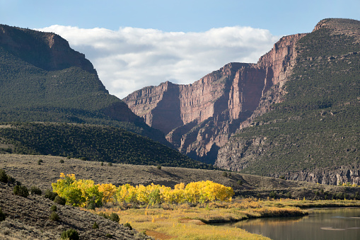 Autumn colors fill the canyon at the Gates of Lodore with the Green River in Dinosaur National Monument in Colorado.
