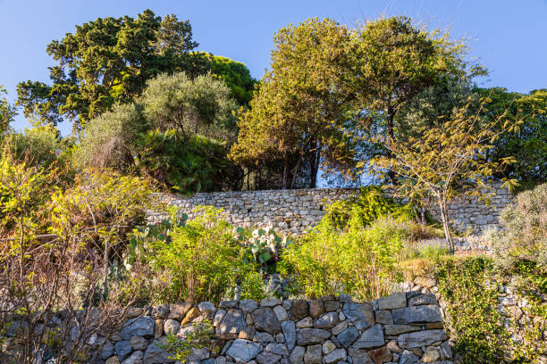 The Hanbury Botanical Garden, located near the city of Ventimiglia in Italy, is one of the major botanical gardens on the Italian Riviera.