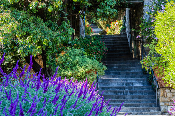 giardino botanico hanbury, capo mortola, liguria - hanbury foto e immagini stock