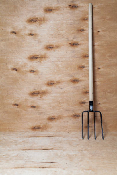 Fork on wooden handle stand on wooden background