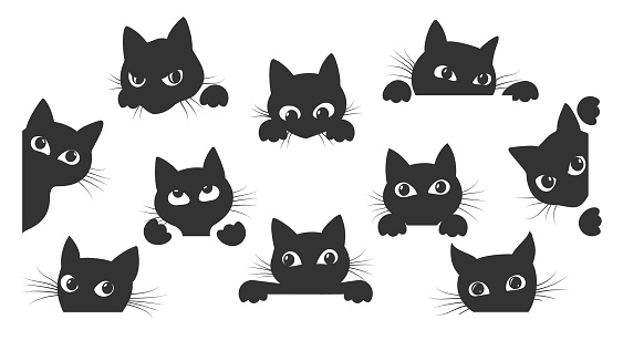 Black kitty look. Cat spy animal cartoon vector illustration for creative images and tattoo, funy playing cats characters peeks faces with smiling eyes for halloween cards