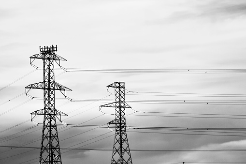 Monochrome Power Lines against nature background
