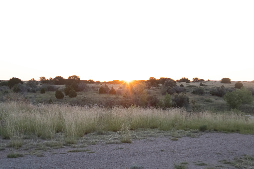 Landscape shot of the sun setting in the rural Oklahoma prairie with trees, shrubs and grass in the foreground on the edge of a gravel road.