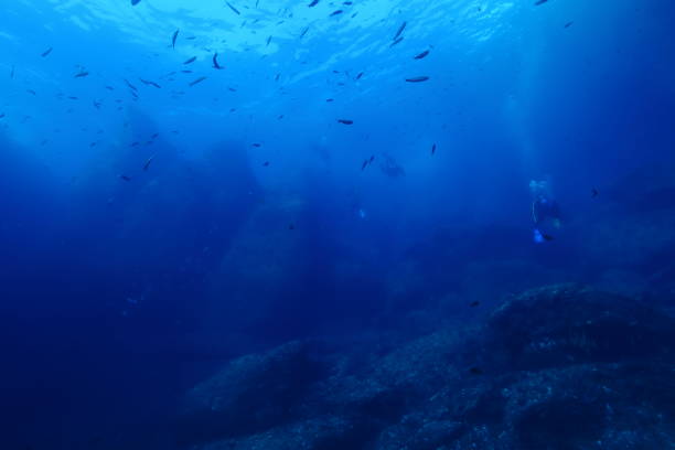 Mediterranean underwater atmosphere stock photo
